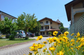 CASA MIMOSA The Green View Apartment Domaso